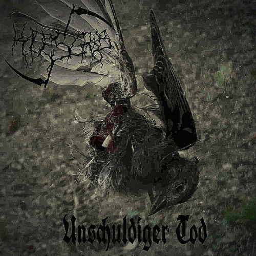 Kaltesgrab : Unschuldiger Tod